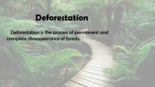 Deforestation
Deforestation is the process of permanent and
complete disappearance of forests.
 