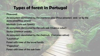 Types of forest in Portugal
Pinewood:
An ecosystem dominated by the maritime pine (Pinus pinaster) and / or by the
stone pine(Pinus pinea)
Montado (cork oak forests):
An ecosystem dominated by the cork oak (Quercus suber)
Soutos (chestnut woods):
An ecosystem dominated by the chestnuts (Castanea sativa)
“Laurissilva”
Forest with trees of the laurel family
“Fagossilva”
Forest with trees of the oak trees.
 