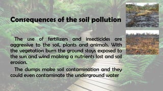 Consequences of the soil pollution
The use of fertilizers and insecticides are
aggressive to the soil, plants and animals. With
the vegetation burn the ground stays exposed to
the sun and wind making a nutrients lost and soil
erosion.
The dumps make soil contamination and they
could even contaminate the underground water
 