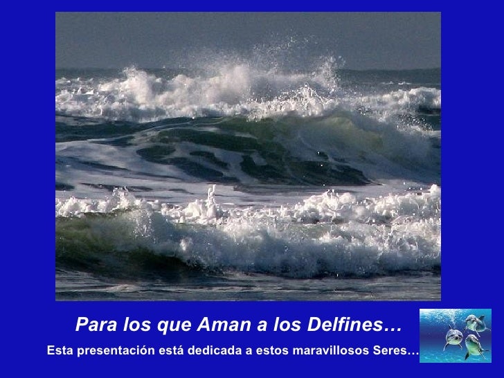 Para los que Aman a los Delfines… Esta presentación está dedicada a estos maravillosos Seres… 