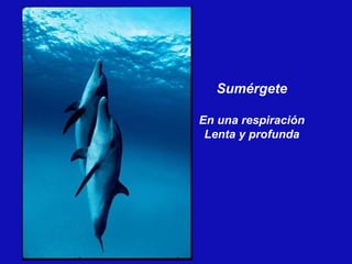 Sumérgete En una respiración Lenta y profunda 