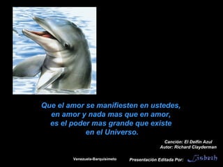 Mensaje de Delfines