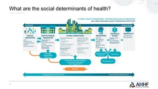11
What are the social determinants of health?
 