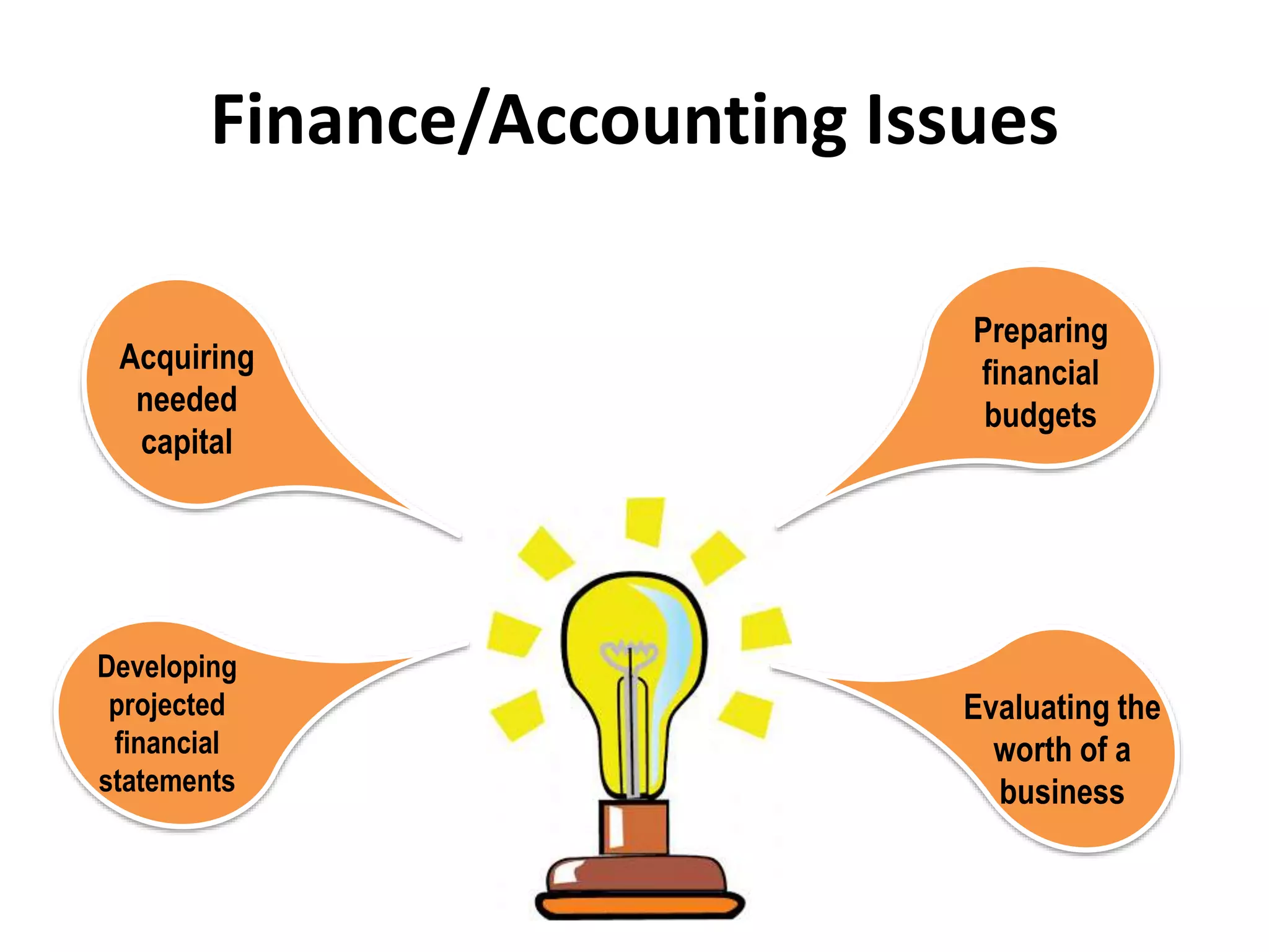 Finance/Accounting Issues
Acquiring
needed
capital
Developing
projected
financial
statements
Preparing
financial
budgets
Evaluating the
worth of a
business
 