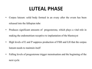 LUTEAL PHASE
• Corpus luteum: solid body formed in an ovary after the ovum has been
released into the fallopian tube
• Produces significant amounts of progesterone, which plays a vital role in
making the endometrium receptive to implantation of the blastocyst
• High levels of E and P suppress production of FSH and LH that the corpus
luteum needs to maintain itself
• Falling levels of progesterone trigger menstruation and the beginning of the
next cycle
 