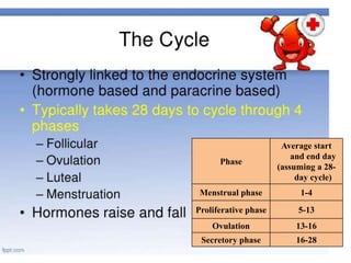 Phase
Average start
and end day
(assuming a 28-
day cycle)
Menstrual phase 1-4
Proliferative phase 5-13
Ovulation 13-16
Secretory phase 16-28
 
