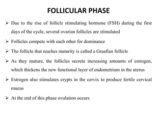 FOLLICULAR PHASE
 Due to the rise of follicle stimulating hormone (FSH) during the first
days of the cycle, several ovarian follicles are stimulated
 Follicles compete with each other for dominance
 The follicle that reaches maturity is called a Graafian follicle
 As they mature, the follicles secrete increasing amounts of estrogen,
which thickens the new functional layer of endometrium in the uterus
 Estrogen also stimulates crypts in the cervix to produce fertile cervical
mucus
 At the end of this phase ovulation occurs
 