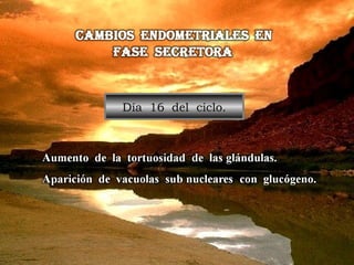Día  16  del  ciclo. 