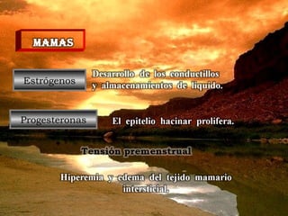 Estrógenos Progesteronas 