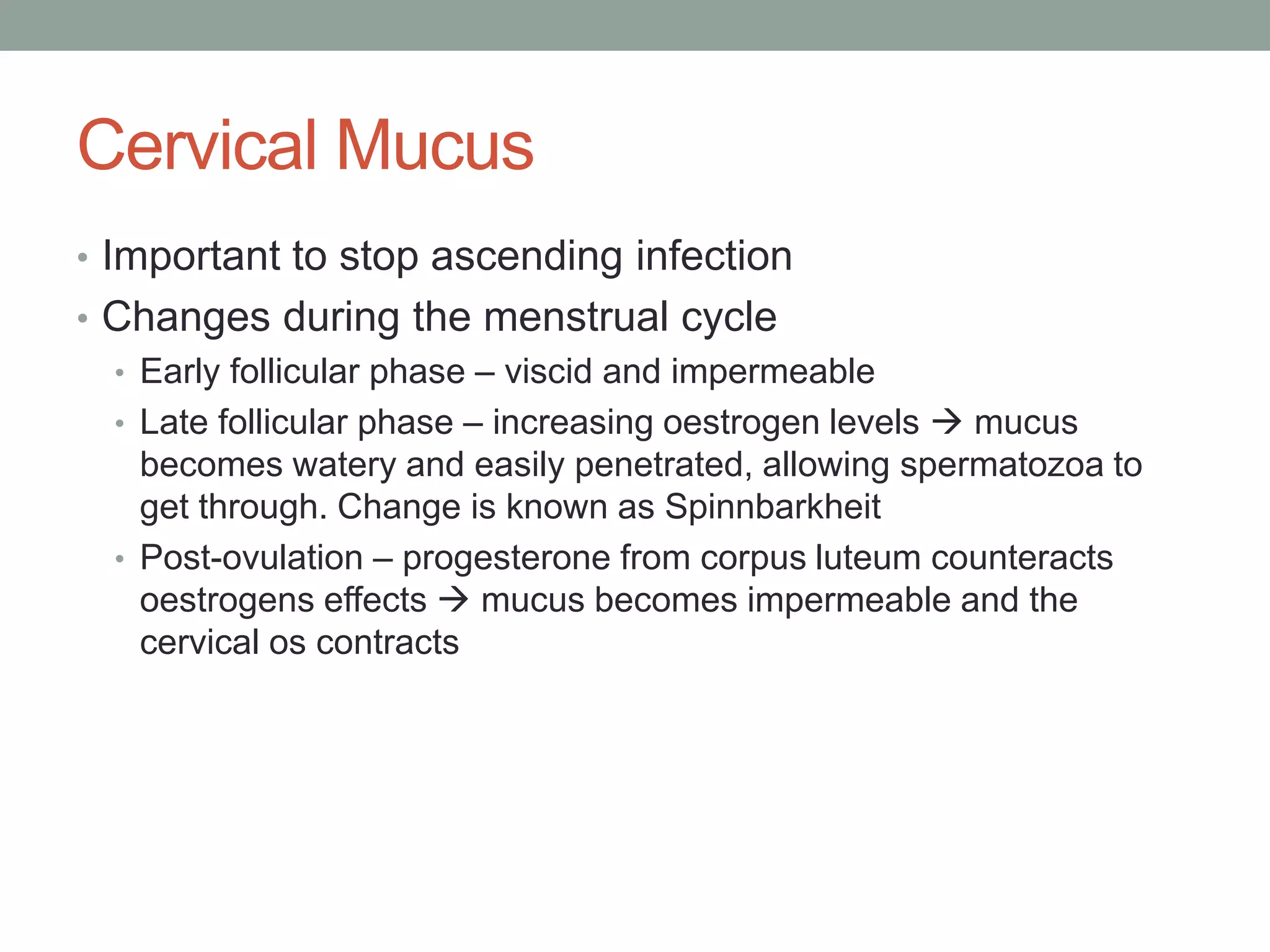 Cervical Mucus
• Important to stop ascending infection
• Changes during the menstrual cycle
• Early follicular phase – viscid and impermeable
• Late follicular phase – increasing oestrogen levels  mucus
becomes watery and easily penetrated, allowing spermatozoa to
get through. Change is known as Spinnbarkheit
• Post-ovulation – progesterone from corpus luteum counteracts
oestrogens effects  mucus becomes impermeable and the
cervical os contracts
 
