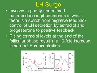 LH Surge Involves a poorly-understood neuroendocrine phenomenon in which there is a switch from negative feedback control of LH secretion by estradiol and progesterone to positive feedback Rising estradiol levels at the end of the follicular phase result in a 10-fold increase in serum LH concentration www.freelivedoctor.com 