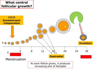 What control
follicular growth?


   ?????
Gonadotropin
independent




                                                            Ovulation


           4     8        12       16         20       24       28
   0
                                 Oestradiol
  Menstruation
                 As each follicle grows, it produces
                    increasing amt of Estradiol
 