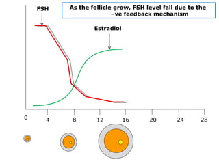 FSH   As the follicle grow, FSH level fall due to the
                         –ve feedback mechanism

                  Estradiol




0     4    8       12         16     20        24      28
 