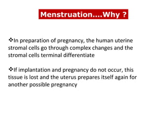 Menstruation….Why ?


In preparation of pregnancy, the human uterine
stromal cells go through complex changes and the
stromal cells terminal differentiate

If implantation and pregnancy do not occur, this
tissue is lost and the uterus prepares itself again for
another possible pregnancy
 