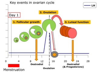 Key events in ovarian cycle
                                                                    LH

                             2. Ovulation
    Day 1

      1. Follicular growth                   3. Luteal function




0        4        8          12       16    20        24       28
                   Oestradiol                  Oestradiol
                                            (& Progesterone)
                                Ovulation
Menstruation
 