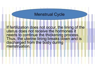 If fertilization does not occur, the lining of the
uterus does not receive the hormones it
needs to continue the thickening process.
Thus, the uterine lining breaks down and is
discharged from the body during
menstruation.
Menstrual Cycle
 