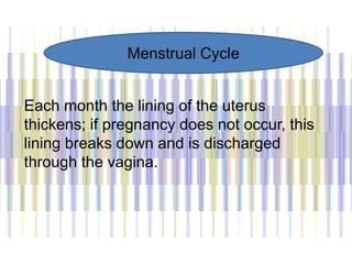 Each month the lining of the uterus
thickens; if pregnancy does not occur, this
lining breaks down and is discharged
through the vagina.
Menstrual Cycle
 