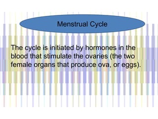 The cycle is initiated by hormones in the
blood that stimulate the ovaries (the two
female organs that produce ova, or eggs).
Menstrual Cycle
 