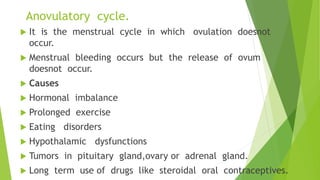 Menstrual  cycle