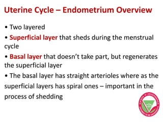 Uterine Cycle – Endometrium Overview
• Two layered
• Superficial layer that sheds during the menstrual
cycle
• Basal layer that doesn’t take part, but regenerates
the superficial layer
• The basal layer has straight arterioles where as the
superficial layers has spiral ones – important in the
process of shedding
 