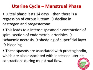 Uterine Cycle – Menstrual Phase
• Luteal phase lasts 14 days – then there is a
regression of corpus luteum → decline in
oestrogen and progesterone
• This leads to a intense spasmodic contraction of
spiral section of endometrial arterioles →
ischaemic necrosis → shedding of superficial layer
→ bleeding.
• These spasms are associated with prostoglandin,
which are also associated with increased uterine
contractions during menstrual flow.
 