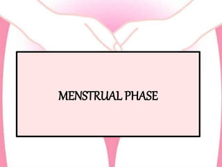 MENSTRUAL PHASE
 