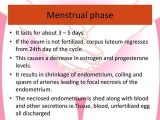 Menstrual phase
• It lasts for about 3 – 5 days.
• If the ovum is not fertilized, corpus luteum regresses
from 24th day of the cycle.
• This causes a decrease in estrogen and progesterone
levels.
• It results in shrinkage of endometrium, coiling and
spasm of arteries leading to focal necrosis of the
endometrium.
• The necrosed endometrium is shed along with blood
and other secretions ie.Tissue, blood, unfertilized egg
all discharged
 