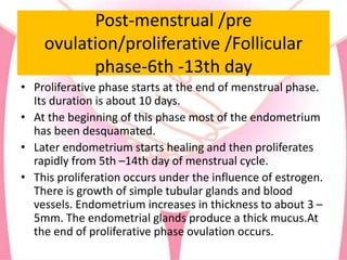 Post-menstrual /pre
ovulation/proliferative /Follicular
phase-6th -13th day
• Proliferative phase starts at the end of menstrual phase.
Its duration is about 10 days.
• At the beginning of this phase most of the endometrium
has been desquamated.
• Later endometrium starts healing and then proliferates
rapidly from 5th –14th day of menstrual cycle.
• This proliferation occurs under the influence of estrogen.
There is growth of simple tubular glands and blood
vessels. Endometrium increases in thickness to about 3 –
5mm. The endometrial glands produce a thick mucus.At
the end of proliferative phase ovulation occurs.
 