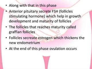 • Along with that in this phase
• Anterior pituitary secrete FSH (follicles
stimulating hormone) which help in growth
development and maturity of follicles
• The follicles that reaches maturity called
graffian follicles
• Follicles secreate estrogen which thickens the
new endometrium
• At the end of this phase ovulation occurs
 
