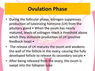 Ovulation Phase
• During the follicular phase, estrogen suppresses
production of luteinizing hormone (LH) from the
pituitary gland • When the ovum has nearly
matured, levels of estrogen reach a threshold above
which they stimulate production of LH (positive
feedback loop) •
• The release of LH matures the ovum and weakens
the wall of the follicle in the ovary, causing the fully
developed follicle to release its secondary oocyte •
• After being released from the ovary, the ovum is
swept into the fallopian tube
 