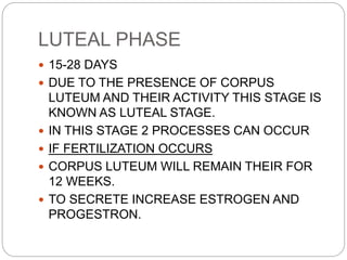 LUTEAL PHASE
 15-28 DAYS
 DUE TO THE PRESENCE OF CORPUS
LUTEUM AND THEIR ACTIVITY THIS STAGE IS
KNOWN AS LUTEAL STAGE.
 IN THIS STAGE 2 PROCESSES CAN OCCUR
 IF FERTILIZATION OCCURS
 CORPUS LUTEUM WILL REMAIN THEIR FOR
12 WEEKS.
 TO SECRETE INCREASE ESTROGEN AND
PROGESTRON.
 