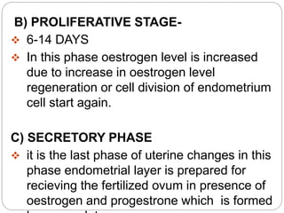 B) PROLIFERATIVE STAGE-
 6-14 DAYS
 In this phase oestrogen level is increased
due to increase in oestrogen level
regeneration or cell division of endometrium
cell start again.
C) SECRETORY PHASE
 it is the last phase of uterine changes in this
phase endometrial layer is prepared for
recieving the fertilized ovum in presence of
oestrogen and progestrone which is formed
 