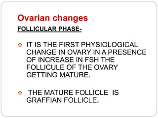 Ovarian changes
FOLLICULAR PHASE-
 IT IS THE FIRST PHYSIOLOGICAL
CHANGE IN OVARY IN A PRESENCE
OF INCREASE IN FSH THE
FOLLICULE OF THE OVARY
GETTING MATURE.
 THE MATURE FOLLICLE IS
GRAFFIAN FOLLICLE.
 