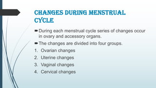 CHANGES DURING MENSTRUAL
CYCLE
During each menstrual cycle series of changes occur
in ovary and accessory organs.
The changes are divided into four groups.
1. Ovarian changes
2. Uterine changes
3. Vaginal changes
4. Cervical changes
 