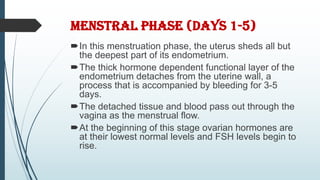 MENSTRAL PHASE (DAYS 1-5)
In this menstruation phase, the uterus sheds all but
the deepest part of its endometrium.
The thick hormone dependent functional layer of the
endometrium detaches from the uterine wall, a
process that is accompanied by bleeding for 3-5
days.
The detached tissue and blood pass out through the
vagina as the menstrual flow.
At the beginning of this stage ovarian hormones are
at their lowest normal levels and FSH levels begin to
rise.
 