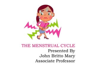 THE MENSTRUAL CYCLE
Presented By
John Britto Mary
Associate Professor
 