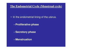 Menstrual Cycle.pptx