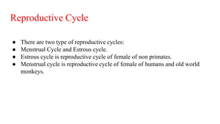 ● There are two type of reproductive cycles:
● Menstrual Cycle and Estrous cycle.
● Estrous cycle is reproductive cycle of female of non primates.
● Menstrual cycle is reproductive cycle of female of humans and old world
monkeys.
Reproductive Cycle
 