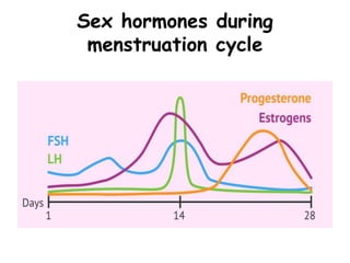 Sex hormones during
menstruation cycle
 