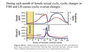 During each month of female sexual cycle, cyclic changes in
FSH and LH causes cyclic ovarian changes -
 