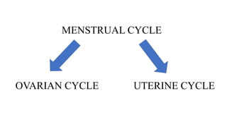 MENSTRUAL CYCLE
OVARIAN CYCLE UTERINE CYCLE
 