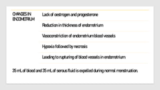 35 mL of blood and 35 mL of serous fluid is expelled during normal menstruation.
CHANGES IN
ENDOMETRIUM
Lack of oestrogen and progesterone
Reduction in thickness of endometrium
Vasoconstriction of endometrium blood vessels
Hypoxia followed by necrosis
Leading to rupturing of blood vessels in endometrium.
 