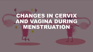 CHANGES IN CERVIX
AND VAGINA DURING
MENSTRUATION
 