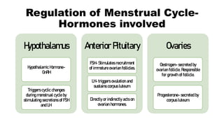 Regulation of Menstrual Cycle-
Hormones involved
Hypothalamus
Hypothalamic Hormone-
GnRH
Triggers cyclic changes
during menstrual cycle by
stimulating secretions of FSH
and LH.
Anterior Pituitary
FSH- Stimulates recruitment
of immature ovarian follicles.
LH- triggers ovulation and
sustains corpus luteum.
Directly or indirectly acts on
ovarian hormones.
Ovaries
Oestrogen- secreted by
ovarian follicle. Responsible
for growth of follicle.
Progesterone- secreted by
corpus luteum.
 