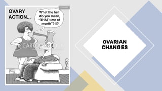 OVARIAN
CHANGES
 