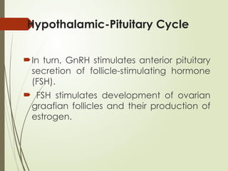 Hypothalamic-Pituitary Cycle
In turn, GnRH stimulates anterior pituitary
secretion of follicle-stimulating hormone
(FSH).
 FSH stimulates development of ovarian
graafian follicles and their production of
estrogen.
 