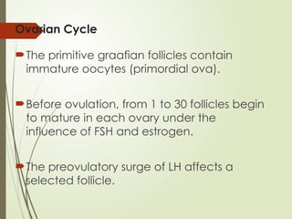 Ovarian Cycle
The primitive graafian follicles contain
immature oocytes (primordial ova).
Before ovulation, from 1 to 30 follicles begin
to mature in each ovary under the
influence of FSH and estrogen.
The preovulatory surge of LH affects a
selected follicle.
 