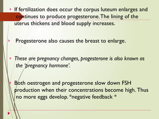  If fertilization does occur the corpus luteum enlarges and
continues to produce progesterone.The lining of the
uterus thickens and blood supply increases.
 Progesterone also causes the breast to enlarge.
 These are pregnancy changes, progesterone is also known as
the ‘pregnancy hormone’.
 Both oestrogen and progesterone slow down FSH
production when their concentrations become high. Thus
no more eggs develop. *negative feedback *
 