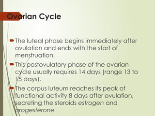 Ovarian Cycle
The luteal phase begins immediately after
ovulation and ends with the start of
menstruation.
This postovulatory phase of the ovarian
cycle usually requires 14 days (range 13 to
15 days).
The corpus luteum reaches its peak of
functional activity 8 days after ovulation,
secreting the steroids estrogen and
progesterone
 