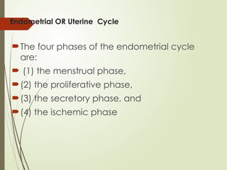 Endometrial OR Uterine Cycle
The four phases of the endometrial cycle
are:
 (1) the menstrual phase,
(2) the proliferative phase,
(3) the secretory phase, and
(4) the ischemic phase
 
